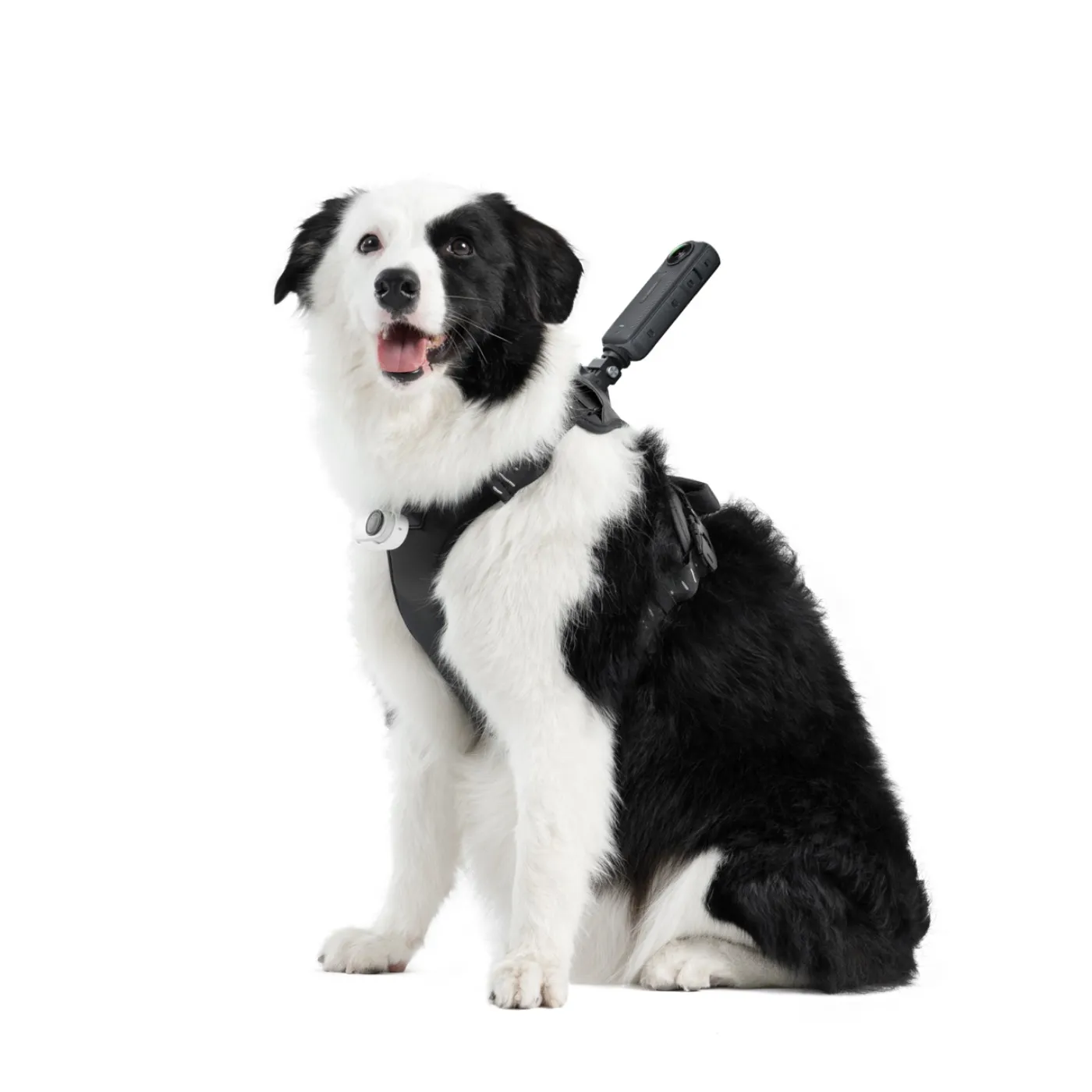Insta360 Pet Harness Mount L (18-35kg)