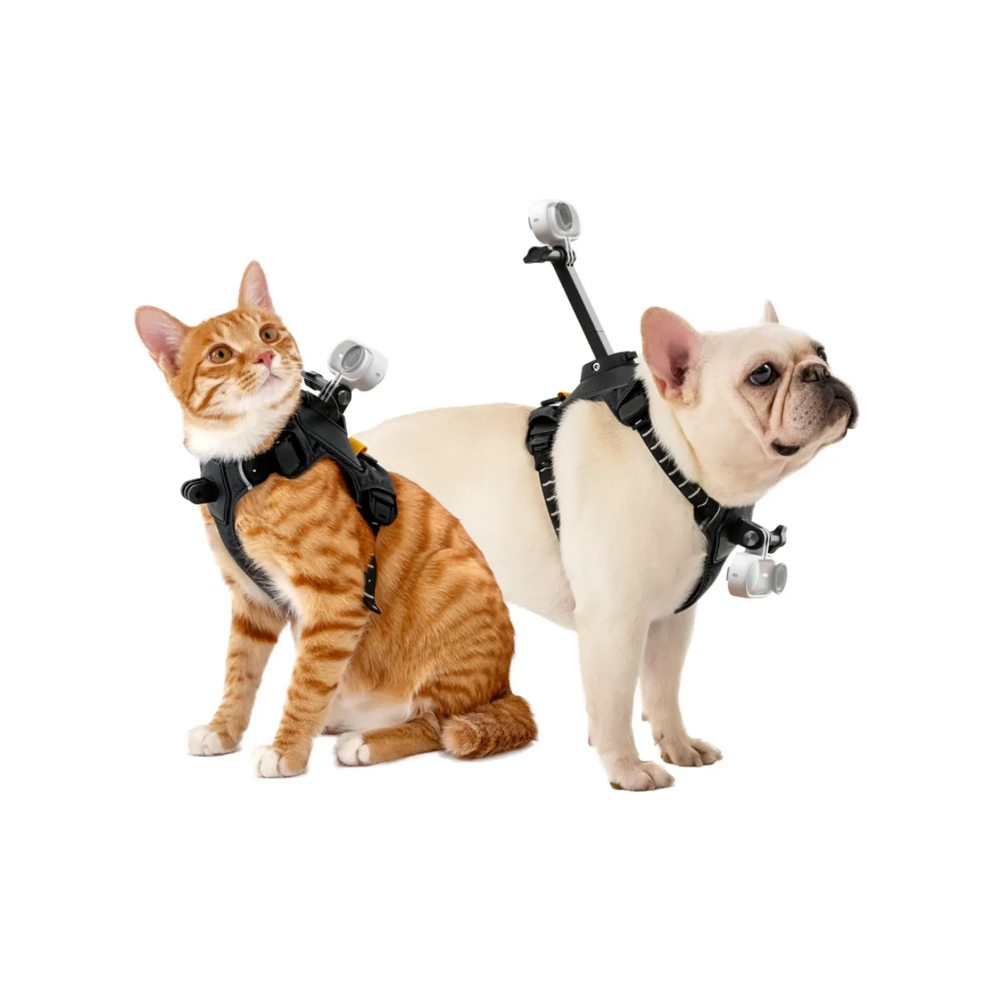 Insta360 Pet Harness Mount M (5-20kg)