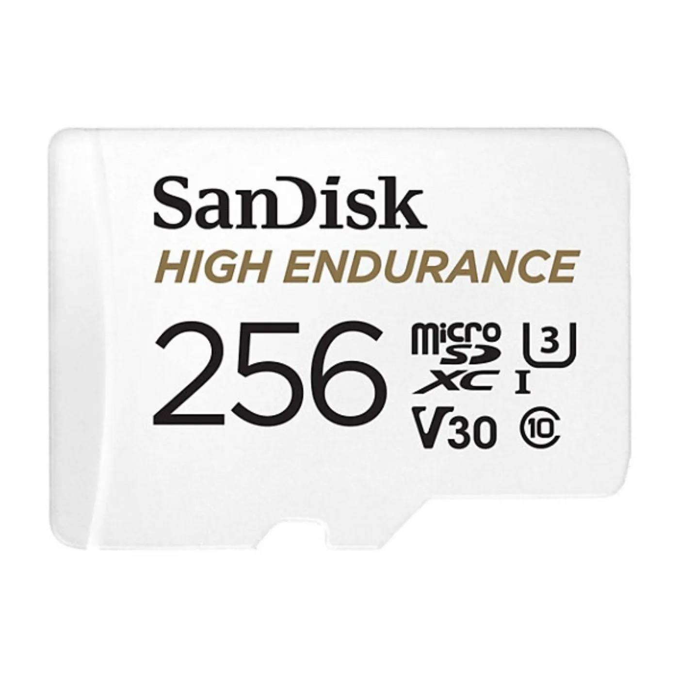 256GB SanDisk High Endurance microSD Card