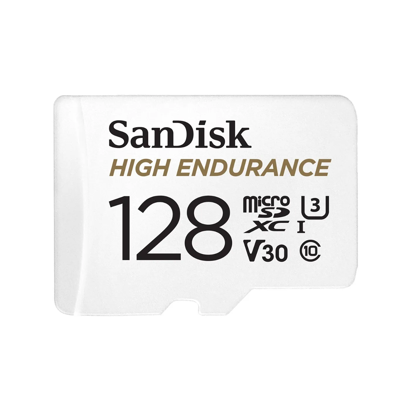 128GB SanDisk High Endurance microSD Card